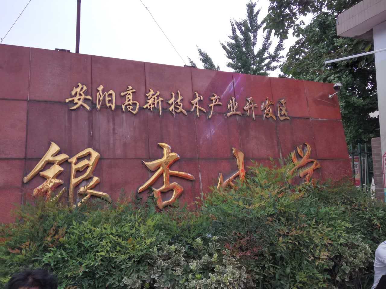 高新區(qū)銀杏小學(xué)