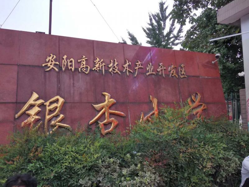 高新區(qū)銀杏小學(xué)